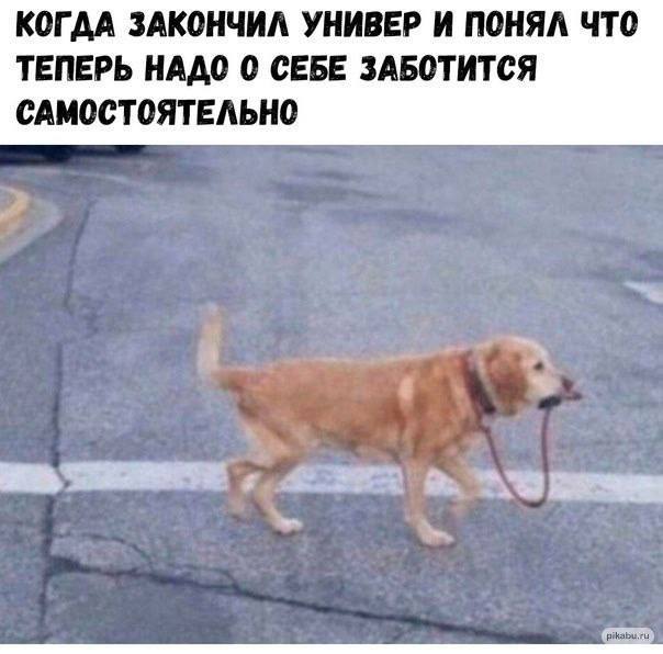 КОГДА ЗАКОНЧИЛ УНИВЕР И ПОНЯЛ ЧТО ТЕПЕРЬ НАДО 0 СЕБЕ ЗАБОТИТСЯ САМОСТОЯТЕЛЬНО ЗА