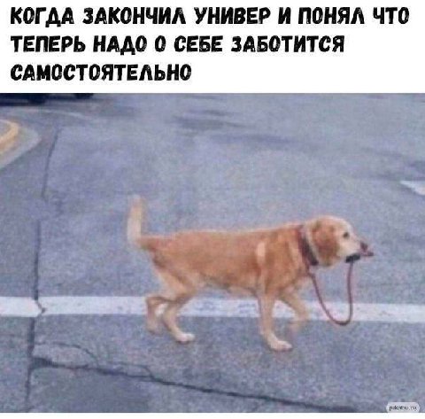 КОГДА ЗАКОНЧИЛ УНИВЕР И ПОНЯЛ ЧТО ТЕПЕРЬ НАДО 0 СЕБЕ ЗАБОТИТСЯ САМОСТОЯТЕЛЬНО ЗА
