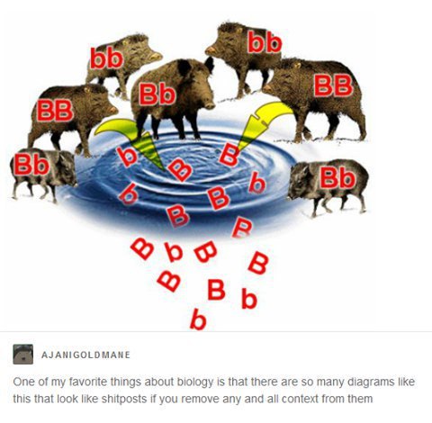 В О 8 2 AJANIGOLDMANE One of my favorite things about biology is that there are so many diagrams like this that look like shitposts if you remove any and all context from them