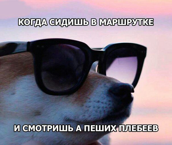 И СМОТРИШЬ A ПЕШИХПЛЕБЕЕВ