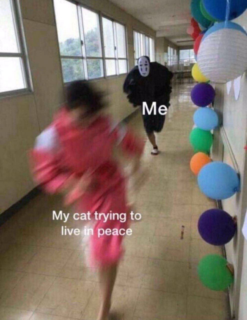 My cat trying to реасе