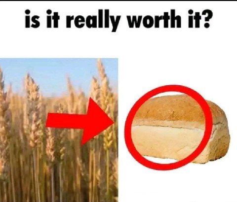 is it reall ally worth it?