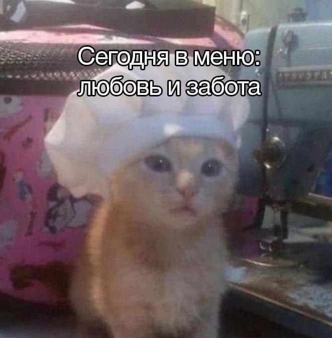 меню: и забота