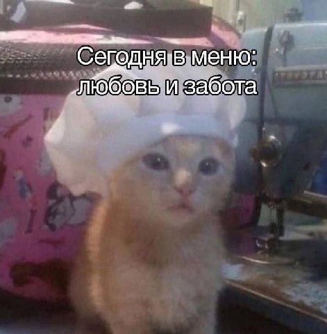 меню: и забота