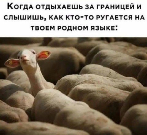 КогдА ОТДЫХАЕШЬ ЗА ГРАНИЦЕЙ И СЛЫШИШЬ, КАК КТО-ТО РУГАЕТСЯ НА ТВОЕМ РОДНОМ ЯЗЫКЕ.