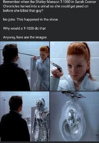 Remember when the Shirley Manson in Sarah Connor Chronicles turned into a urinal so she could get peed on before she killed that guy? No joke. This happened in the show. Why would a that Anyway, here 