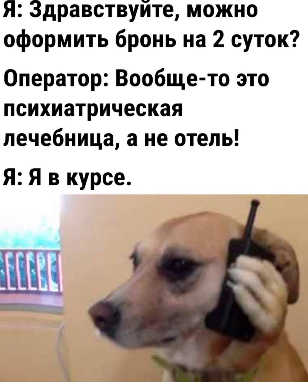 Я: Здравствуите, можно оформить бронь на 2 суток? Оператор: Вообще-то это психиатрическая лечебница, а не отель! Я: Я в курсе.