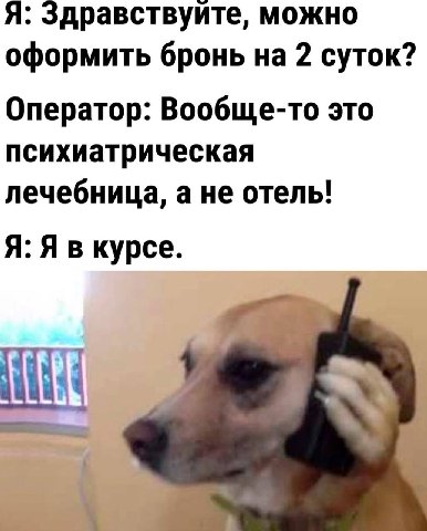 Я: Здравствуите, можно оформить бронь на 2 суток? Оператор: Вообще-то это психиатрическая лечебница, а не отель! Я: Я в курсе.