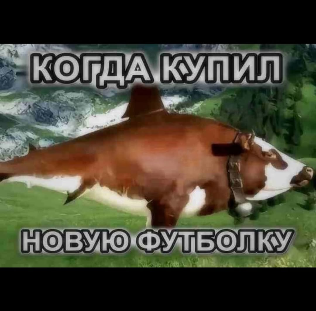 у КОГДА.КУП