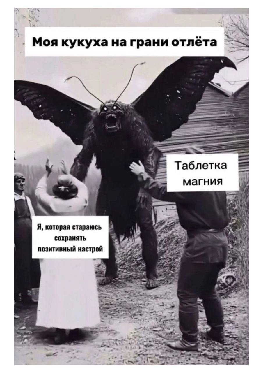 Моя кукуха на грани отлёта Таблетка магния Я, которая стараюсь сохранять позитивный настрой Ber (4 inter 2