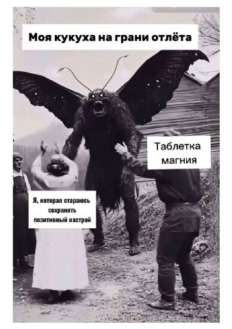 Моя кукуха на грани отлёта Таблетка магния Я, которая стараюсь сохранять позитивный настрой Ber (4 inter 2