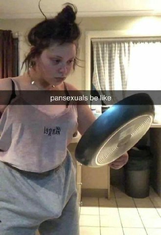 pansexuals be like