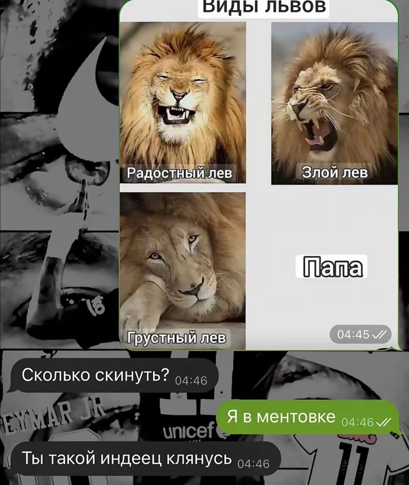 2ИДЫ ЛЬВОВ Злой лев Радостный лев Грустный лев Сколько скинуть? Я в ментовке 94-46. Ты такой индеец клянусь