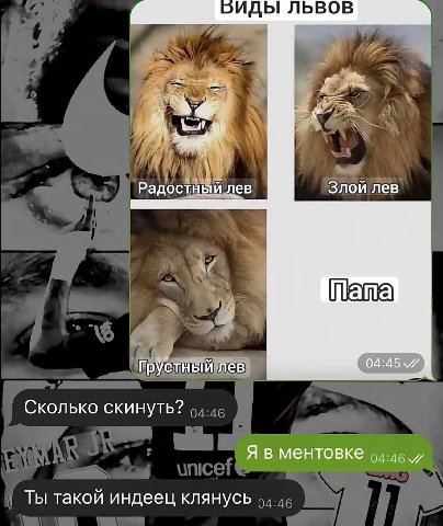2ИДЫ ЛЬВОВ Злой лев Радостный лев Грустный лев Сколько скинуть? Я в ментовке 94-46. Ты такой индеец клянусь