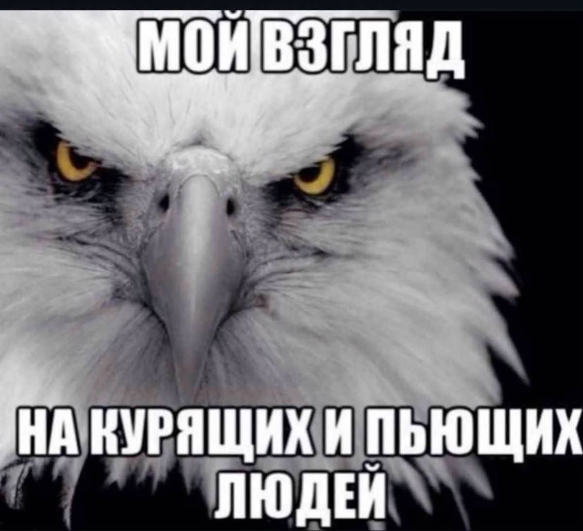 КУРЯЩИХ И
