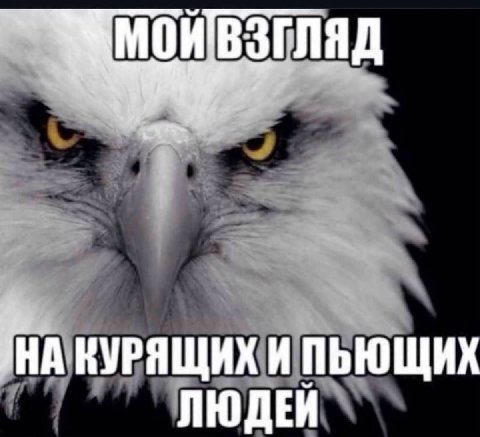 КУРЯЩИХ И