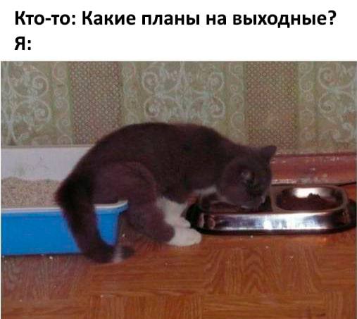 Кто-то: Какие планы на выходные? Я: