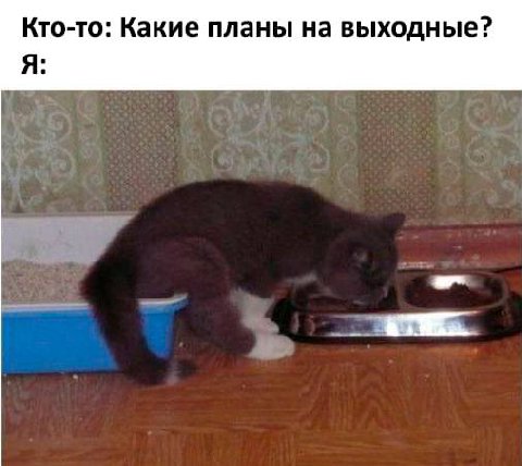 Кто-то: Какие планы на выходные? Я:
