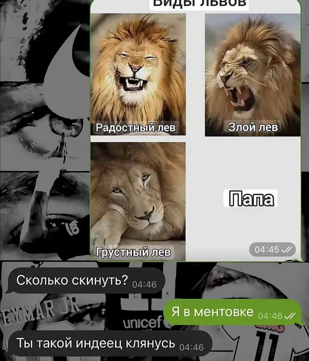 a я Радостный лев Злой лев Грустный лев Сколько скинуть? Я в ментовке о. и Ты такой индеец клянусь.