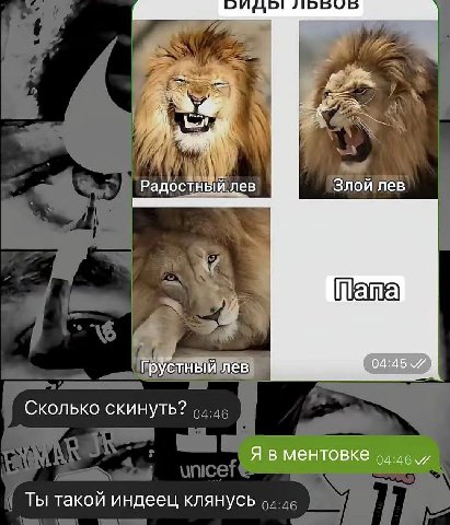 a я Радостный лев Злой лев Грустный лев Сколько скинуть? Я в ментовке о. и Ты такой индеец клянусь.