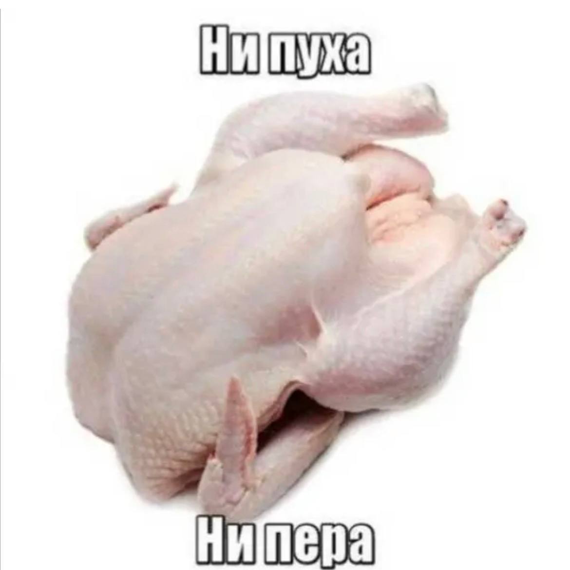 пера