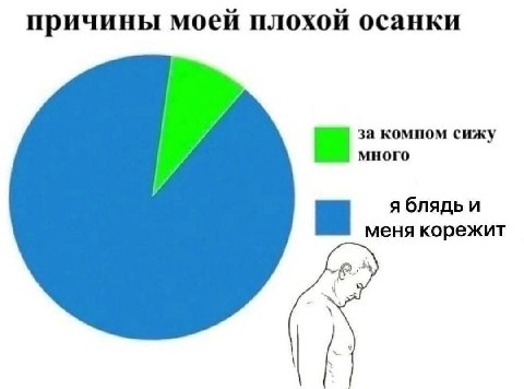 причины моей плохой осанки за компом сижу а много я блядь и меня корежит