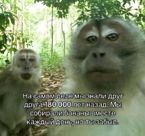 На самом деле мы знали друг друга 180 000 лет назад. Мы собирали бананы вместе каждый день, но ты забыл.