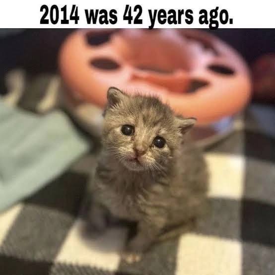 А,