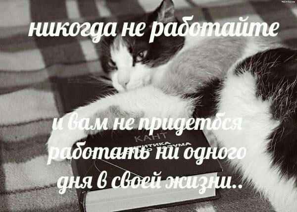 никогда не радфтайте НИ дня 6 сбоей жизни