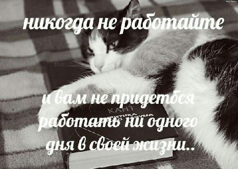 никогда не радфтайте НИ дня 6 сбоей жизни