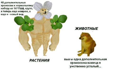 48 дополнительных хромосом к нормальному набору из 16? Пфф, круто, я теперь еще мощнее, а ещеи новый вид ЖИВОТНЫЕ РАСТЕНИЯ выаы одна дополнительная хромосома кажеца я умственно усталый...