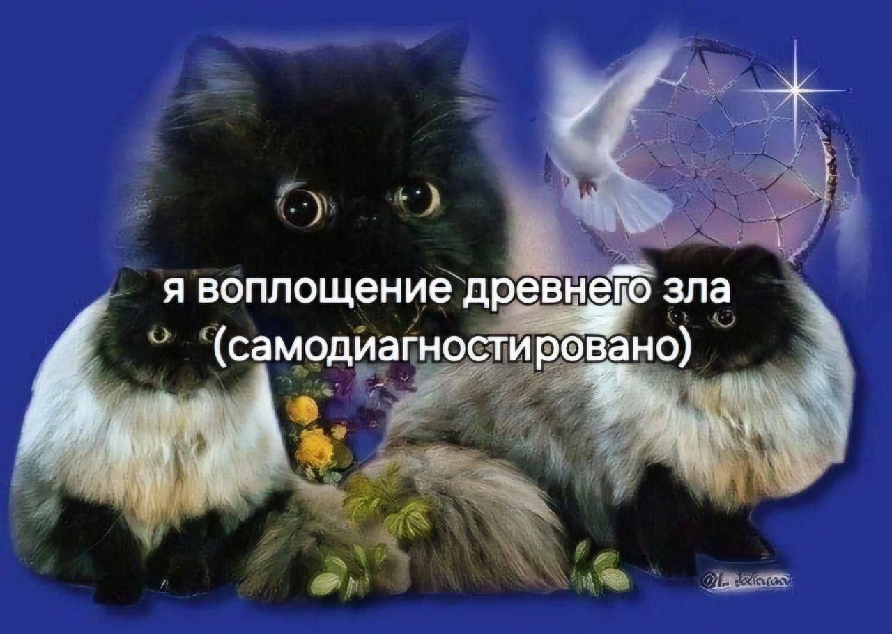 к я воплощение древнепо зла ‘(самодиагностировано)