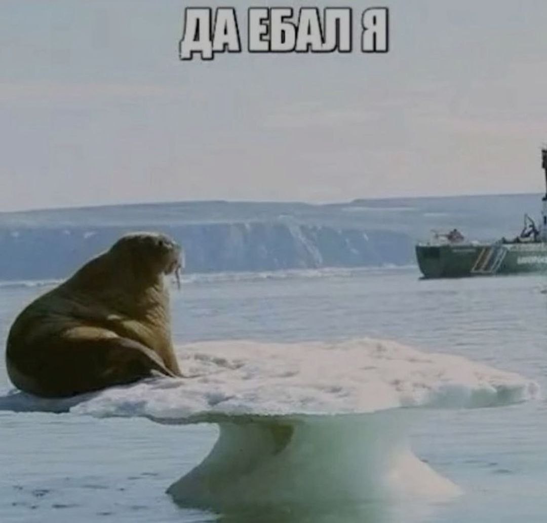 На таком сегодня