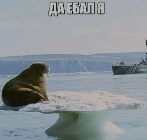 На таком сегодня