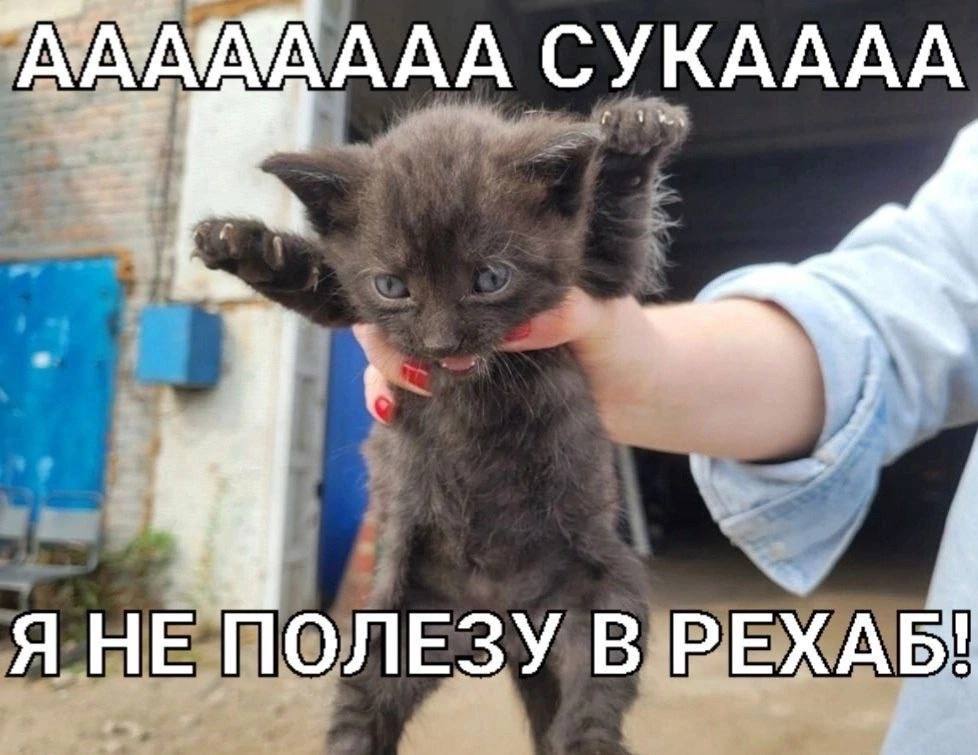 СУКАААА ЯНЕ ПОЛЕЗУ В