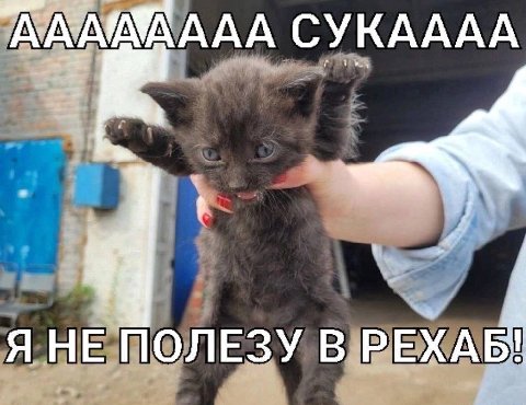 СУКАААА ЯНЕ ПОЛЕЗУ В