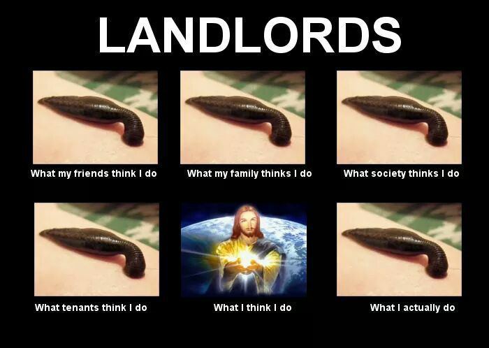 LANDLORDS и What my friends think 1 What my family thinks Ido What society thinks What tenants think Ido What think I What I actually
