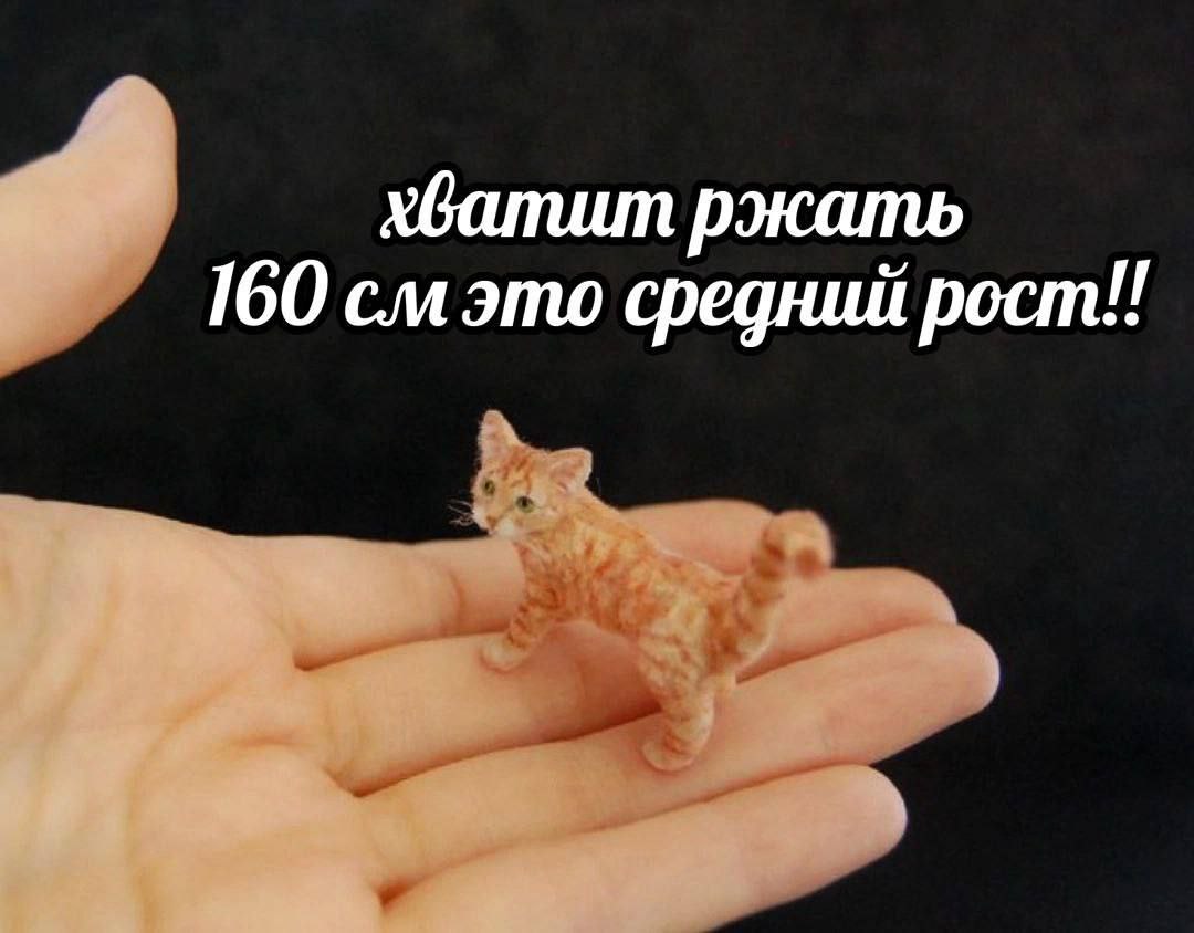 хватит ржать 160 средний рост!!
