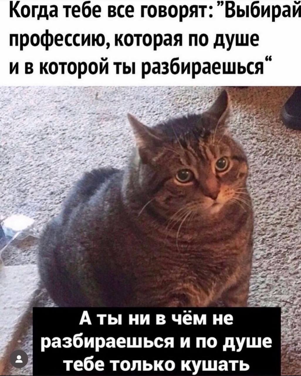 Когда тебе все говорят: "Выбирай профессию, которая по душе и в которой ты Аты ни в чём не разбираешься и по душе 5 тебе только кушать