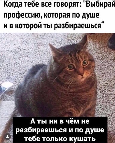 Когда тебе все говорят: "Выбирай профессию, которая по душе и в которой ты Аты ни в чём не разбираешься и по душе 5 тебе только кушать