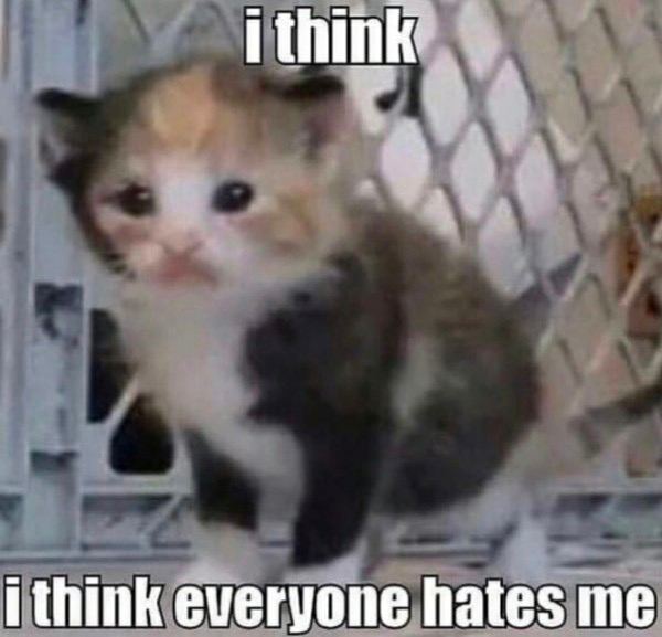 i think i think everyone hates me