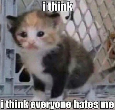 i think i think everyone hates me