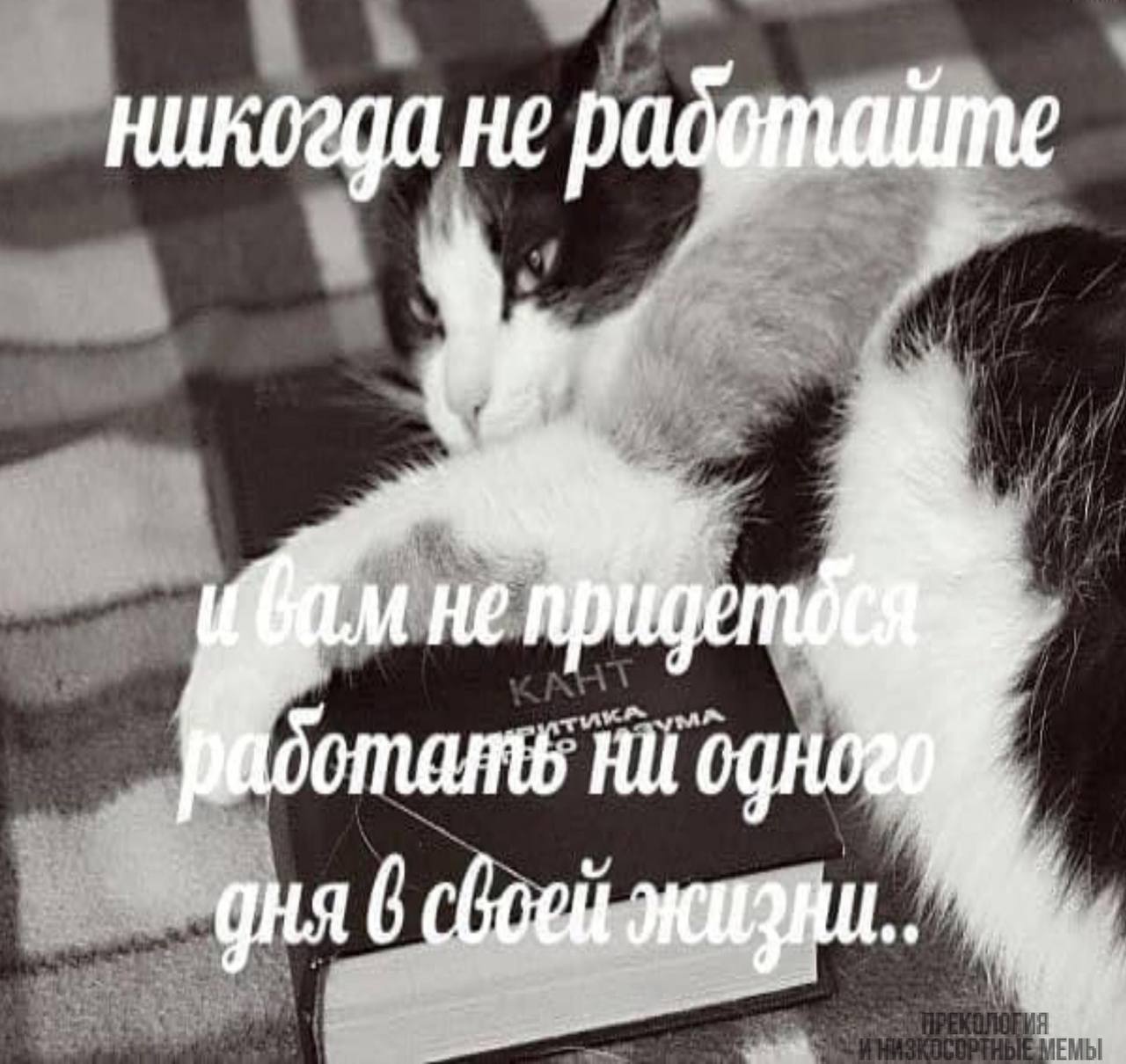 никогда не padgmaitme He дня 6 сбоей жизни