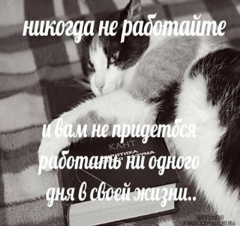 никогда не padgmaitme He дня 6 сбоей жизни