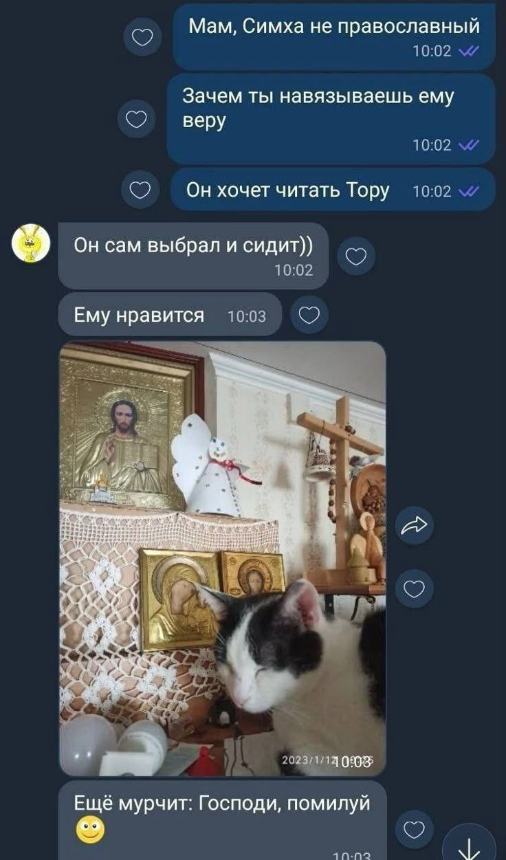 Мам, Симха не православный 10:02 Зачем ты навязываешь ему Bepy 16:02 10:02 Он хочет читать Тору Он сам выбрал и сидит)) 10:02 10:03 Ему нравится 43 2923:1:14 003 Ещё мурчит: Господи, помилуй