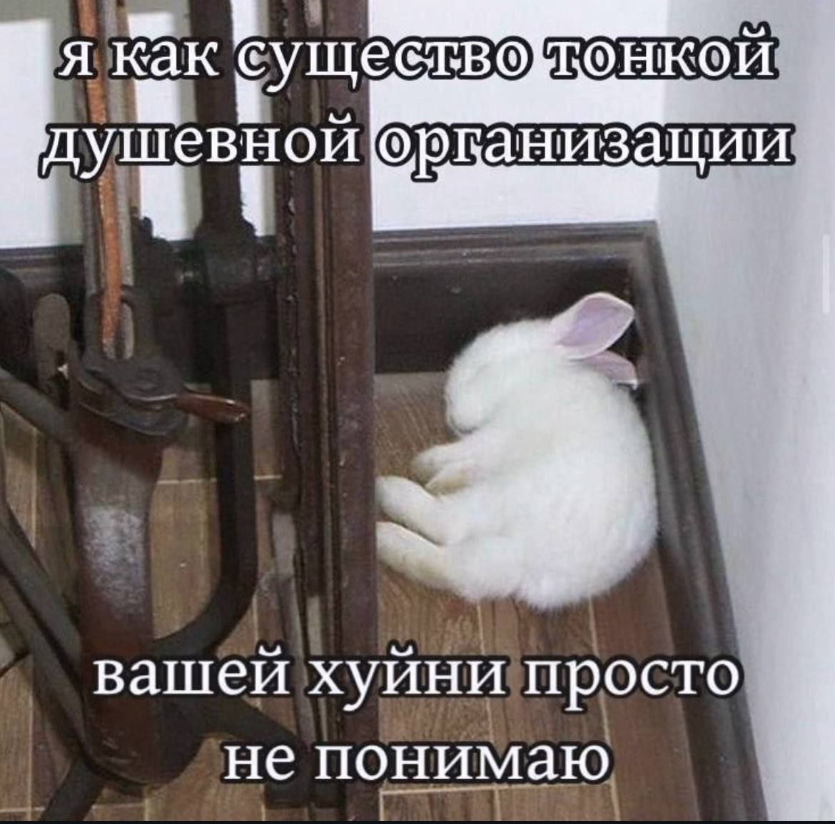 Я как существо Кой душевной вашей просто не понимаю