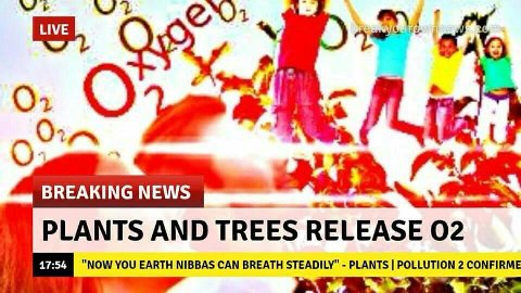 о. BREAKING NEWS 4 PLANTS AND TREES RELEASE YOU EARTH NIBBAS CAN BREATH STEADILY" PLANTS 2 CONFIRME