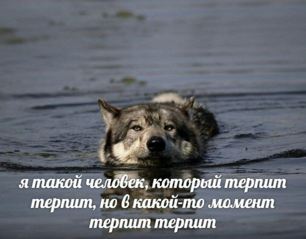 я такой человек, которьш терпит терпит, но 6 какой-то момент терпит терпит