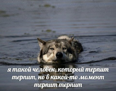 я такой человек, которьш терпит терпит, но 6 какой-то момент терпит терпит