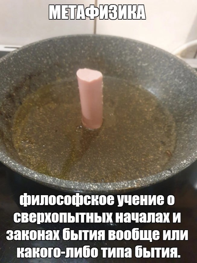 МЕТАФИЗИКА философское учение 0 сверхопытных началах и законах бытия вообще ИЛИ какого-либо типа бытия.